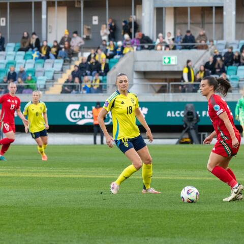 Det råder oro kring Fridolina Rolfös medverkan i det kommande EM.